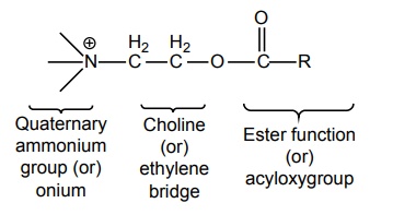 acetylcholine structure