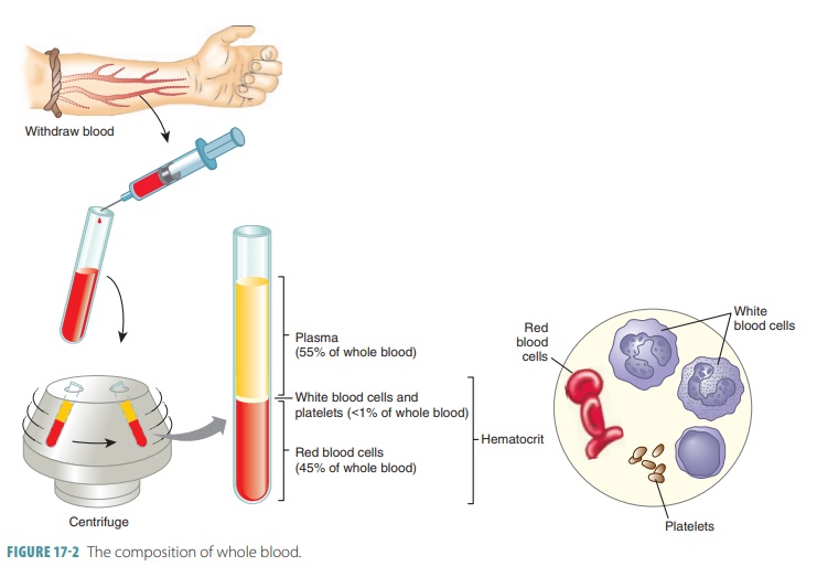 centrifuged blood diagram